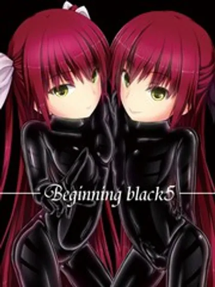 Beginning black5海报