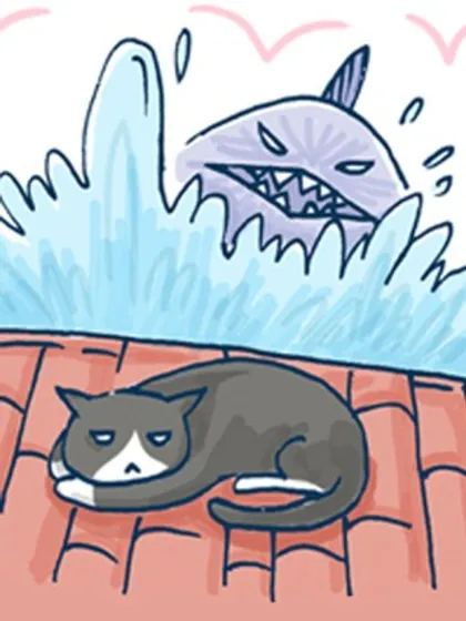 猫和鱼的故事漫画