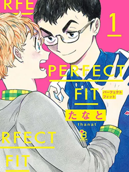 PERFECT FIT海报