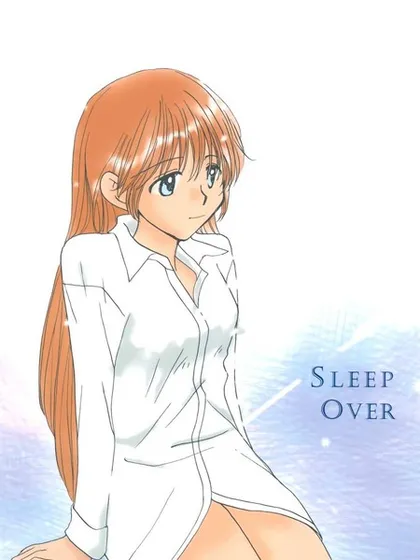 Sleep over海报