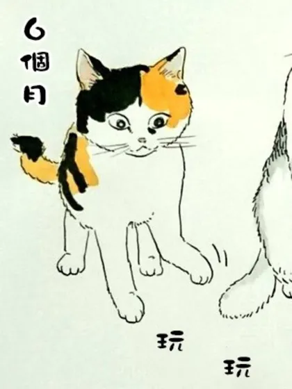 我曾经巨讨厌猫来的