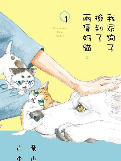 我家狗子捡到了两只奶猫海报